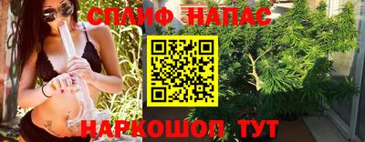 mdpv Краснознаменск