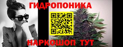 mdpv Краснознаменск