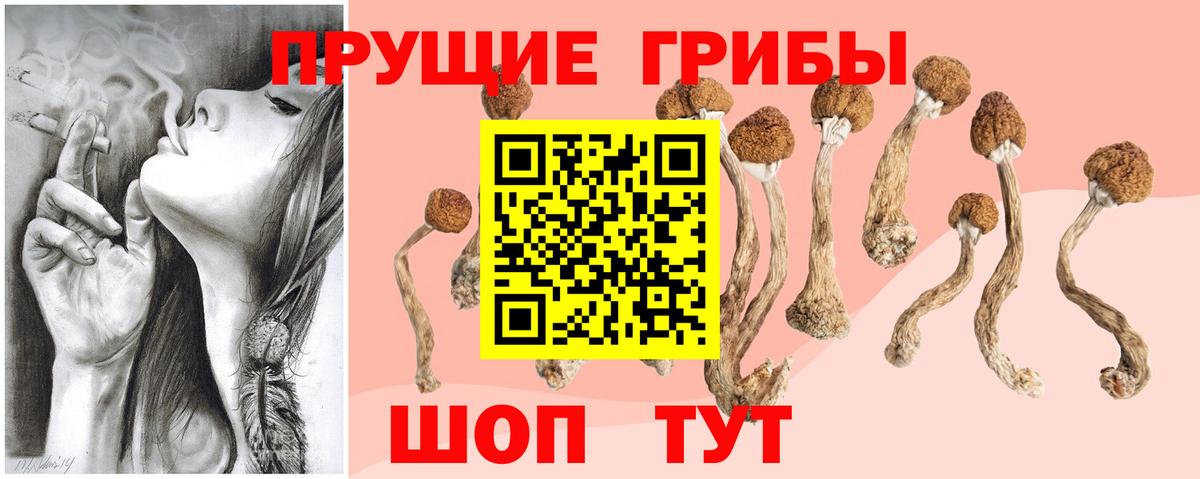 Псилоцибиновые грибы мицелий  Вход с VPN  Кизляр  Галлюциногенные грибы Cubensis 
