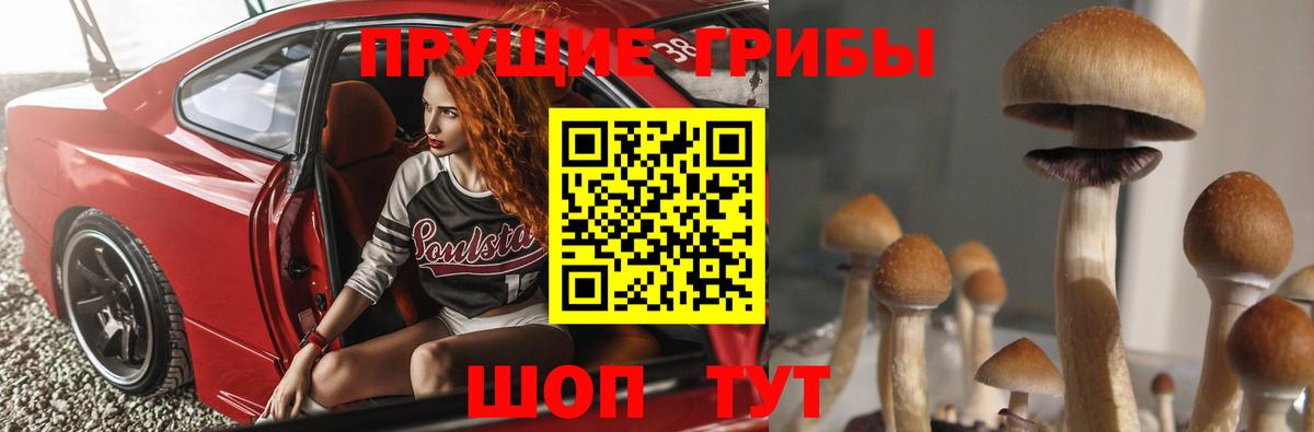 Галлюциногенные грибы GOLDEN TEACHER Кизляр